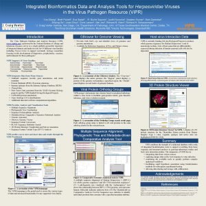 Integrated Bioinformatics Data and Analysis Tools for Herpesviridae