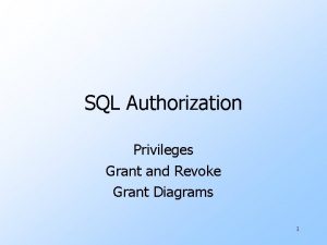 Sql authorization mechanism grants privileges on