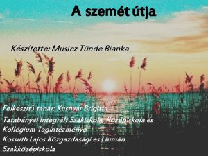 A szemt tja Ksztette Musicz Tnde Bianka Felkszt