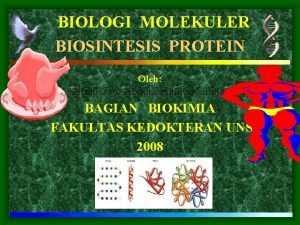 BIOLOGI MOLEKULER BIOSINTESIS PROTEIN Oleh BAGIAN BIOKIMIA FAKULTAS
