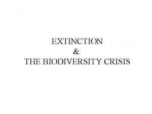 EXTINCTION THE BIODIVERSITY CRISIS Biodiversity All the variety