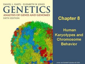 Chapter 8 Human Karyotypes and Chromosome Behavior Jones