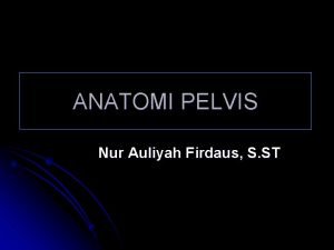 ANATOMI PELVIS Nur Auliyah Firdaus S ST PELVIS