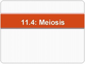 11 4 Meiosis Chromosome Number Diploid Cells Two