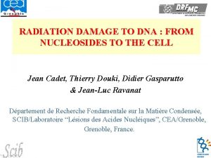 Radiation and dna