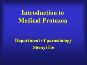 Protozoa definition medical