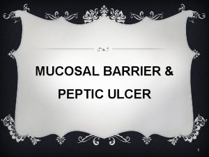 Stomach mucosal barrier