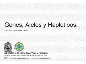 Genes Alelos y Haplotipos CA Garca Seplveda MD