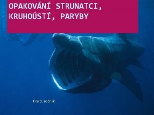 OPAKOVN STRUNATCI KRUHOST PARYBY Pro 7 ronk Podtrhni