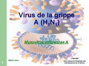 Virus de la grippe A H 1 N