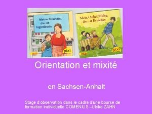 Orientation et mixit en SachsenAnhalt Stage dobservation dans