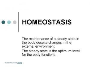 Steady state homeostasis