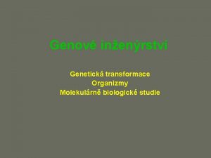 Genov inenrstv Genetick transformace Organizmy Molekulrn biologick studie