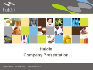 Haldin Company Presentation Haldin Introduction Haldin is an