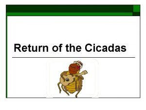 Return of the Cicadas Periodical Cicadas o Periodical