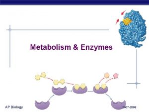 Metabolism Enzymes AP Biology 2007 2008 From food