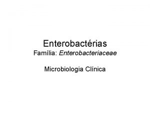 Enterobactrias Famlia Enterobacteriaceae Microbiologia Clnica Caractersticas da famlia