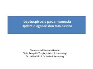 Leptospirosis pada manusia Update diagnosis dan tatalaksana Muhammad