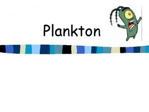 Plankton is animal or plant