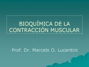 BIOQUMICA DE LA CONTRACCIN MUSCULAR Prof Dr Marcelo