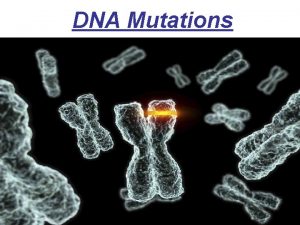 4 types of mutations