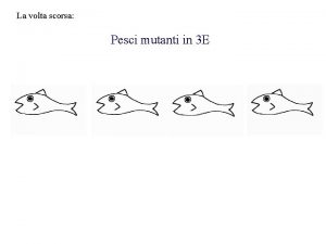 La volta scorsa Pesci mutanti in 3 E