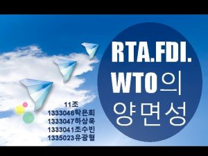 11 1333046 1333047 1333041 1335023 RTA FDI WTO