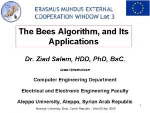 Bees algorithm example