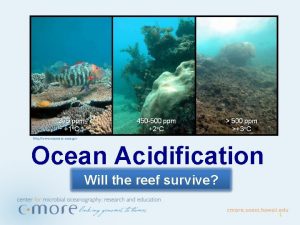 http www noaanews noaa gov Ocean Acidification Will