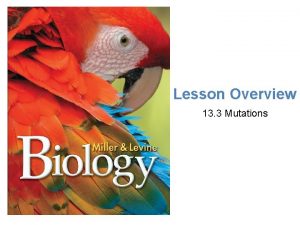 Lesson Overview Mutations Lesson Overview 13 3 Mutations