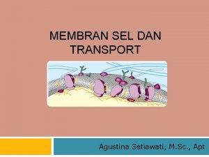 MEMBRAN SEL DAN TRANSPORT Agustina Setiawati M Sc