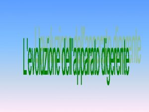 Le funzioni dellapparato digerente sono Lingestione che consente