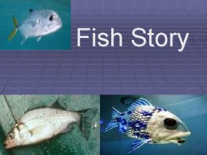 Japanese fresh fish story
