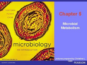 Chapter 5 Microbial Metabolism 2013 Pearson Education Inc