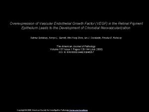 Overexpression of Vascular Endothelial Growth Factor VEGF in