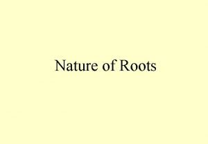 Nature of Roots Nature of Roots Quadratic Equation