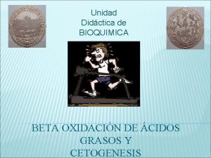 Unidad Didctica de BIOQUIMICA BETA OXIDACIN DE CIDOS