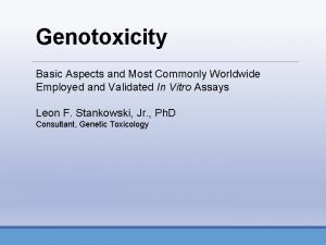 Genotoxicity Basic Aspects and Most Commonly Worldwide Employed