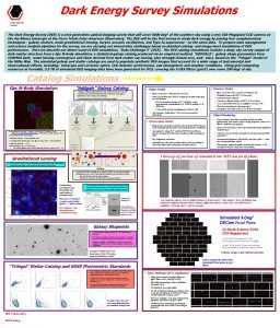 Dark Energy Survey Simulations Huan Lin 1 Nikolay