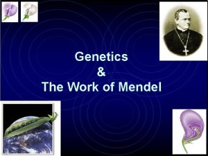 Genetics The Work of Mendel Gregor Mendel Modern