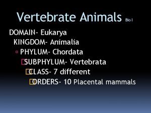 All vertebrate animals are in domain