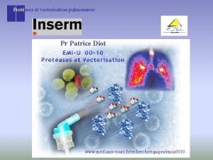 Protases et vectorisation pulmonaires Pr Patrice Diot www