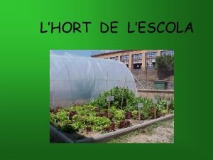 LHORT DE LESCOLA MATERIAL IMPRESCINDIBLE Espai de terreny