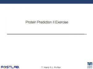 Protein Prediction II Exercise T Hamp L Richter