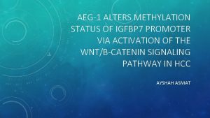 AEG1 ALTERS METHYLATION STATUS OF IGFBP 7 PROMOTER