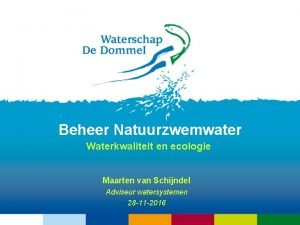 Beheer Natuurzwemwater Waterkwaliteit en ecologie Maarten van Schijndel