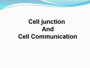Cell junction And Cell Communication Cell junctions Specific