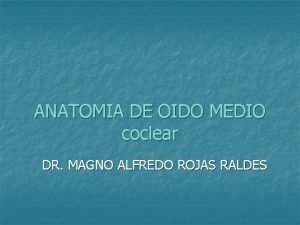 ANATOMIA DE OIDO MEDIO coclear DR MAGNO ALFREDO