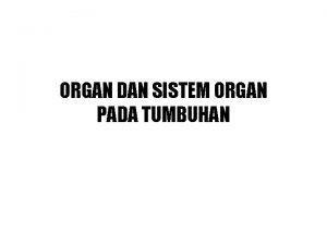 Sistem organ yang tidak terdapat pada tumbuhan adalah