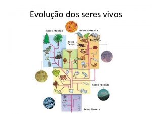 Classificação taxonomica